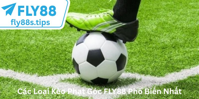 Các Loại Kèo Phạt Góc FLY88 Phổ Biến Nhất